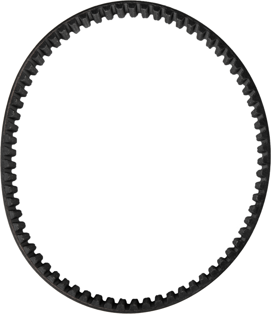 DAYCO Primary Drive Belt