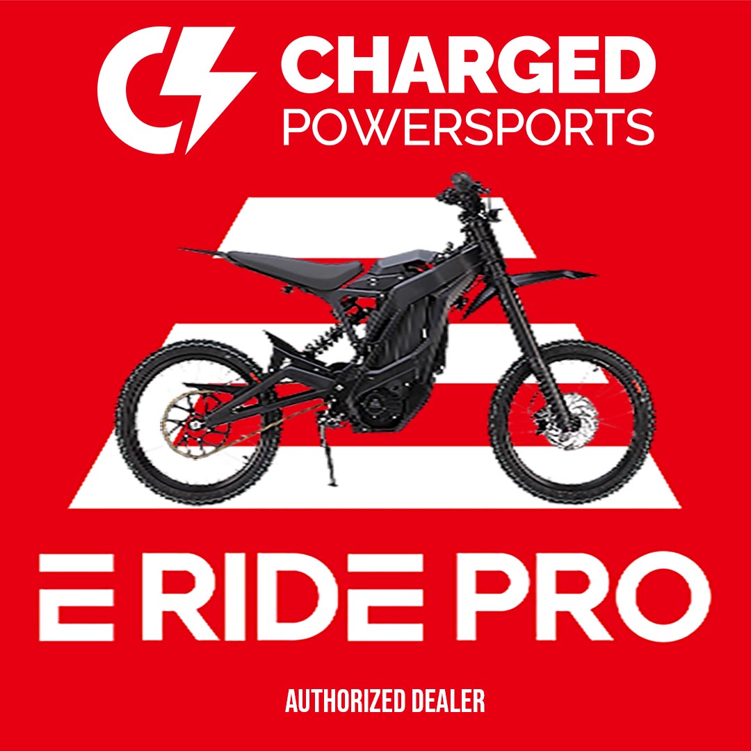 E Ride Pro SS (19") 2.0 (Latest Version)