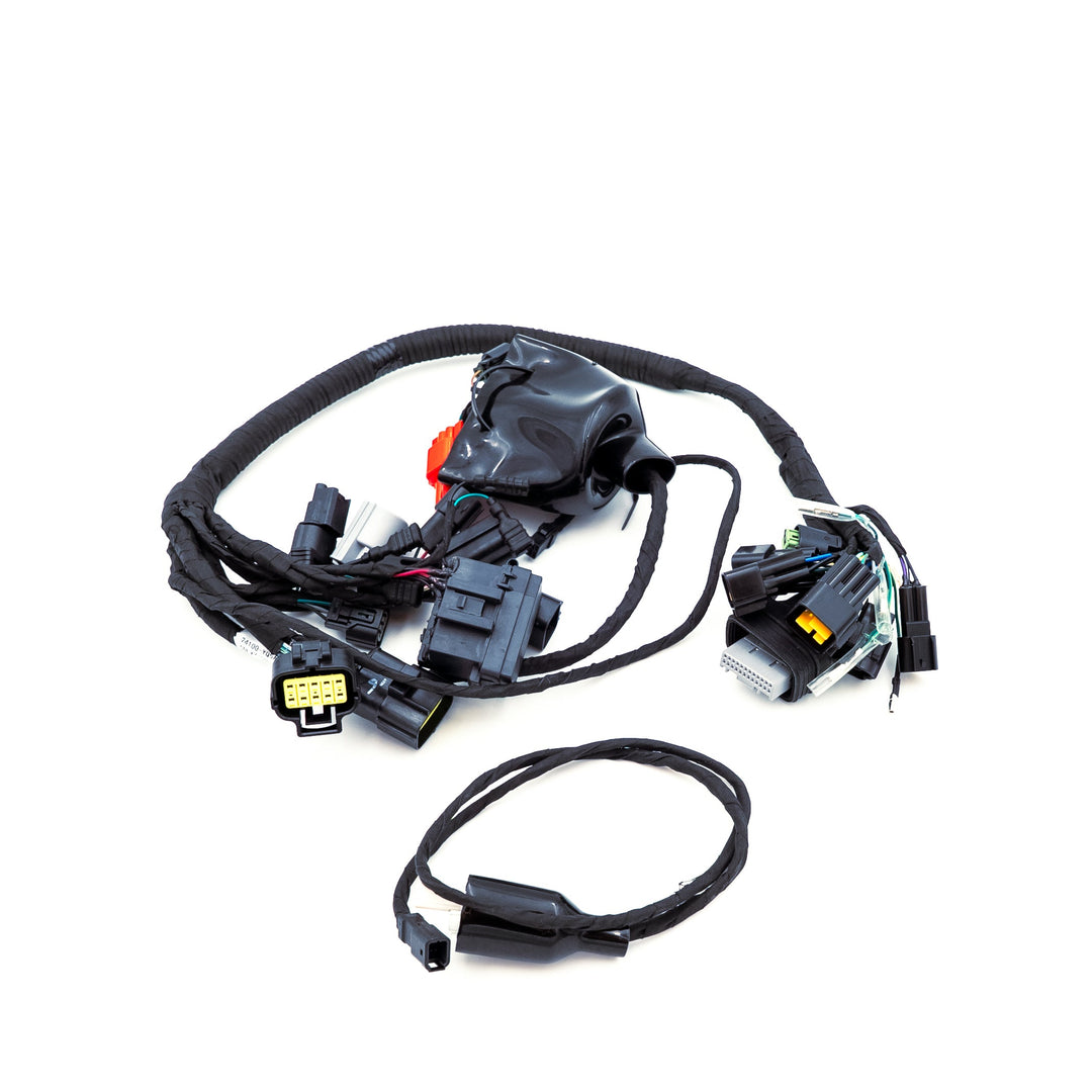 Surron Ultra Bee - OEM Main Wiring Harness